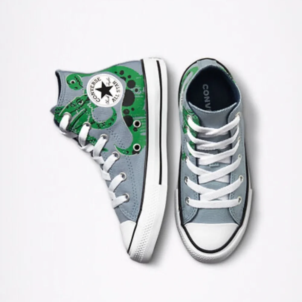 Converse Chuck Taylor All Star Dino Daze